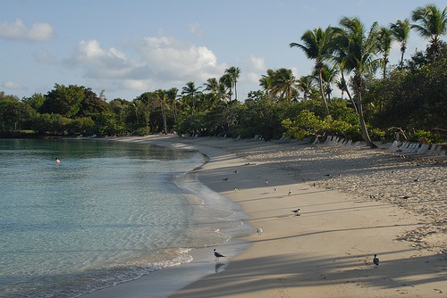 Choosing your Caribbean Island Paradise