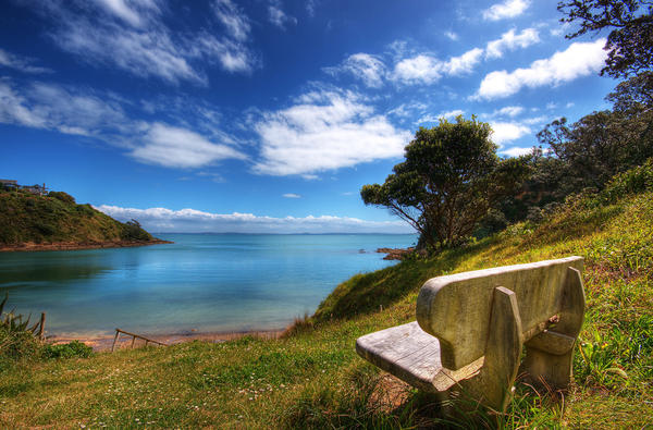 The Best Beaches of Auckland