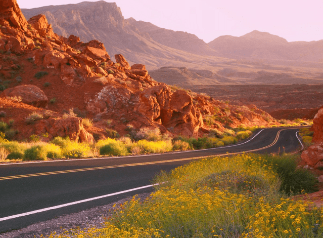The Most Scenic Family Road Trips In America