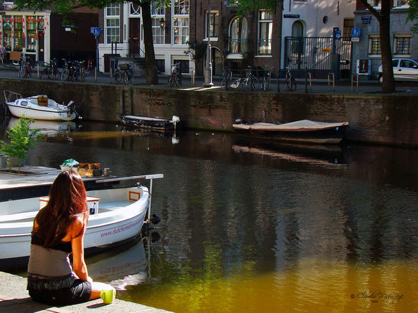 Festivals and Events in Amsterdam